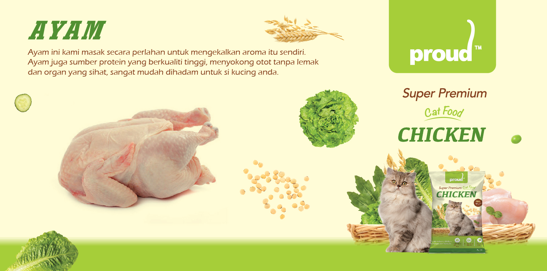 Ayam (1)
