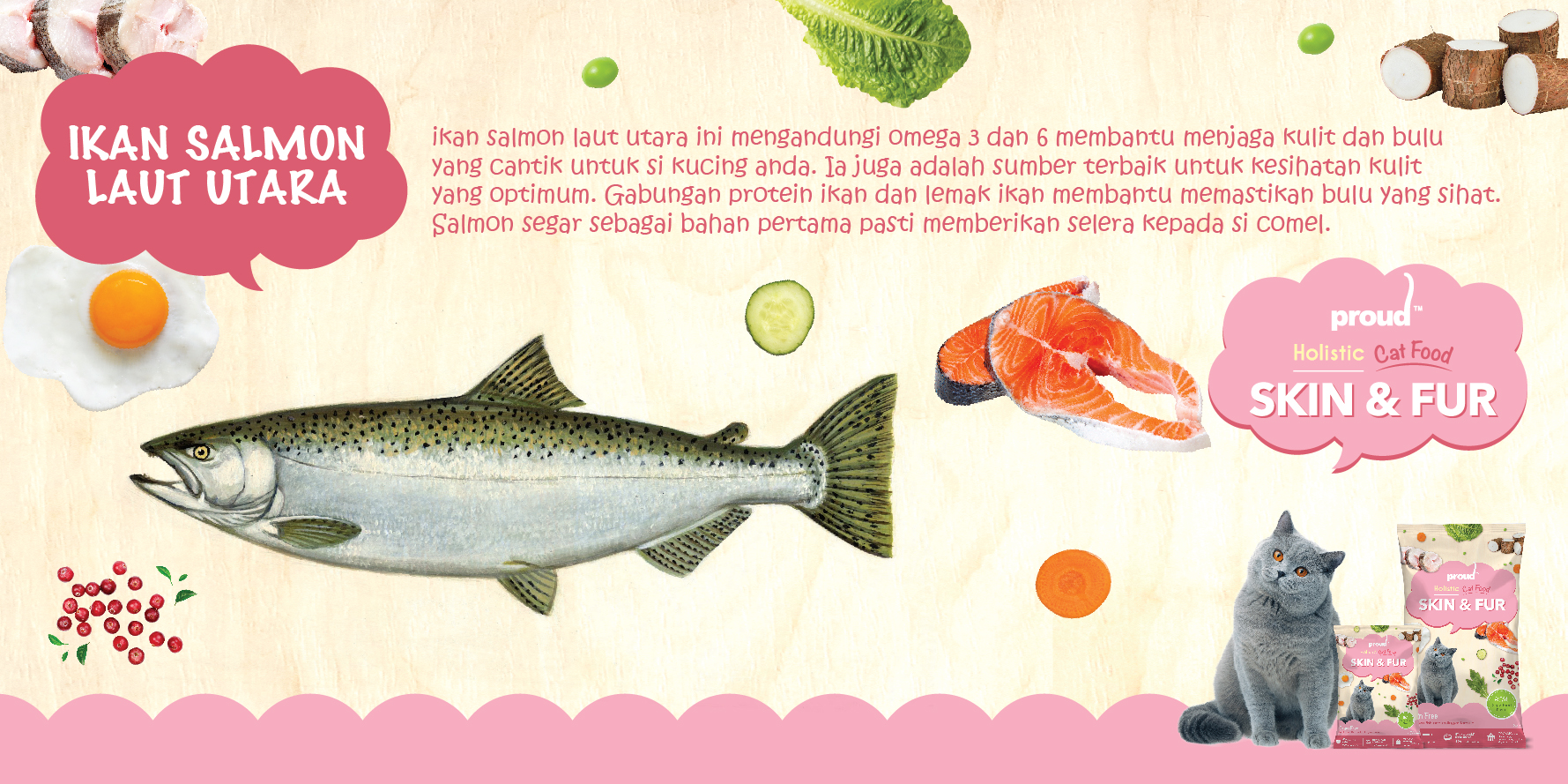 Ikan Salmon Laut Utara Ikan Salmon Laut Utara