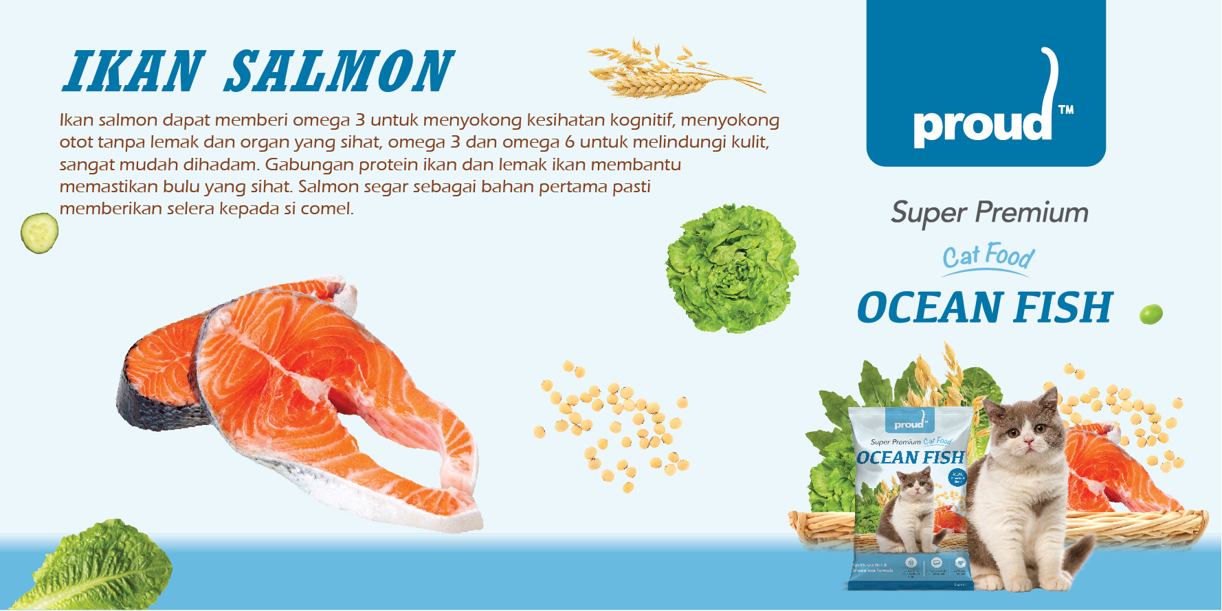 Ikan Salmon Ikan Salmon