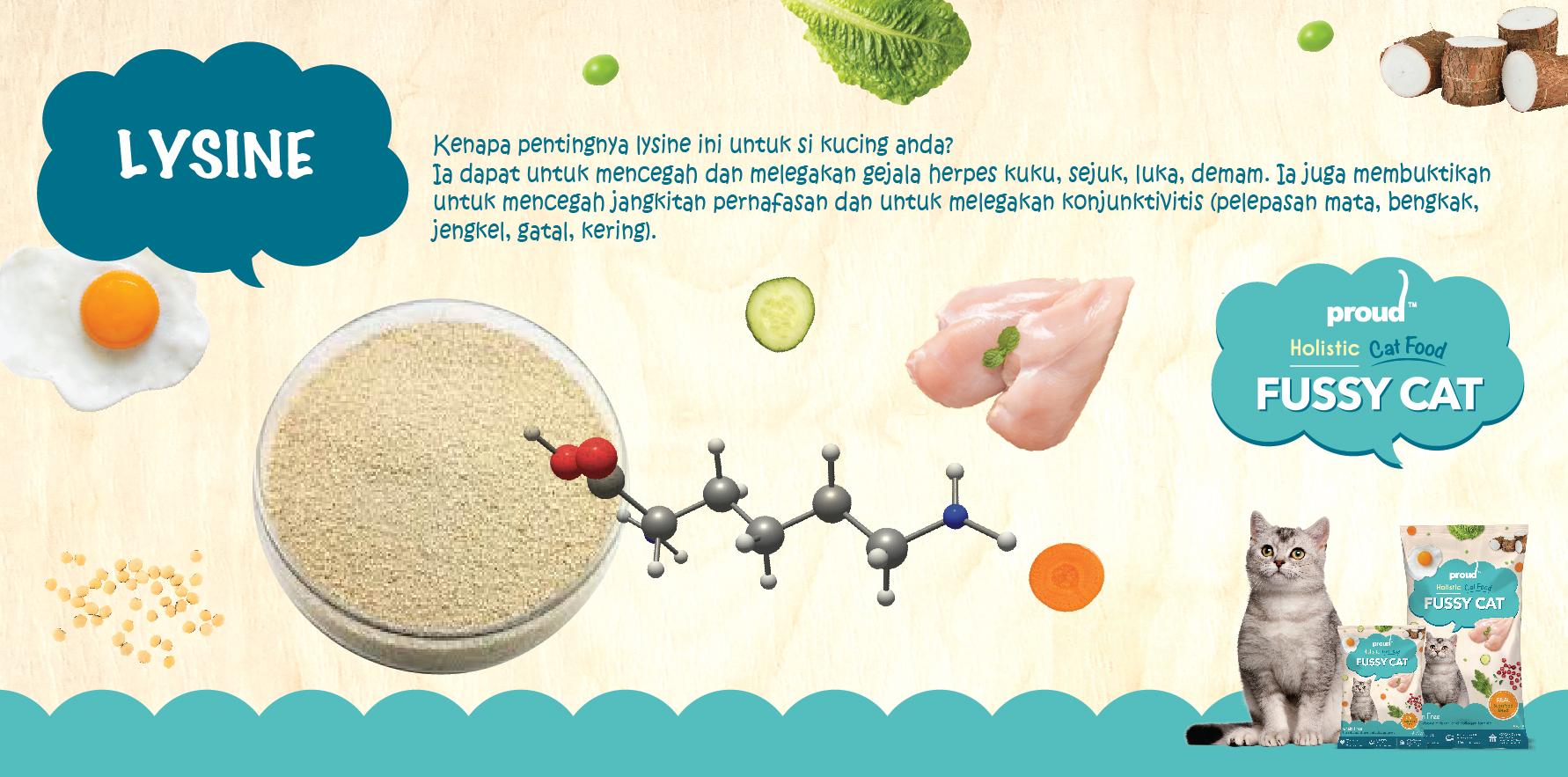 Lysine Lysine
