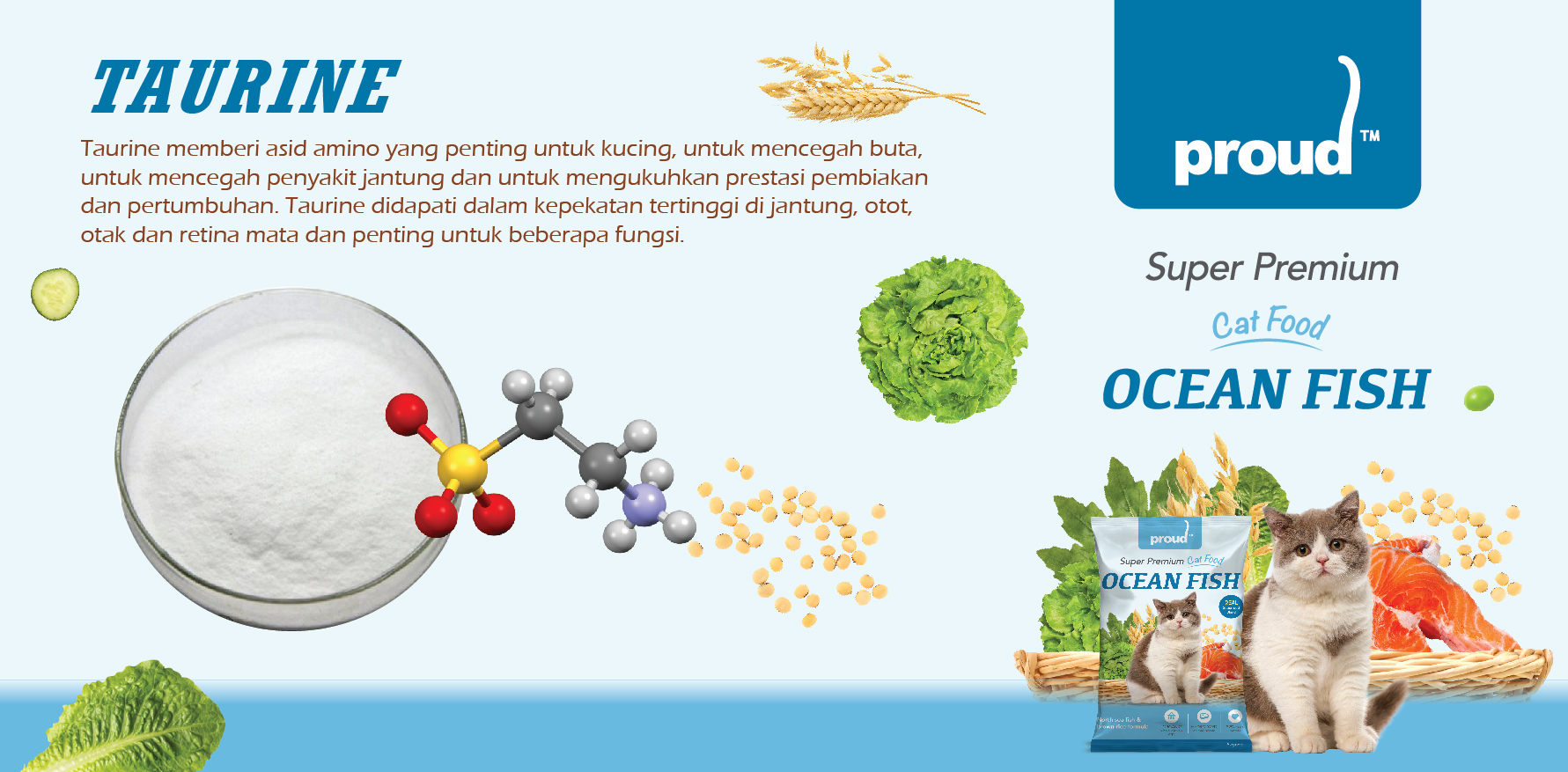 Taurine (3) Taurine (3)