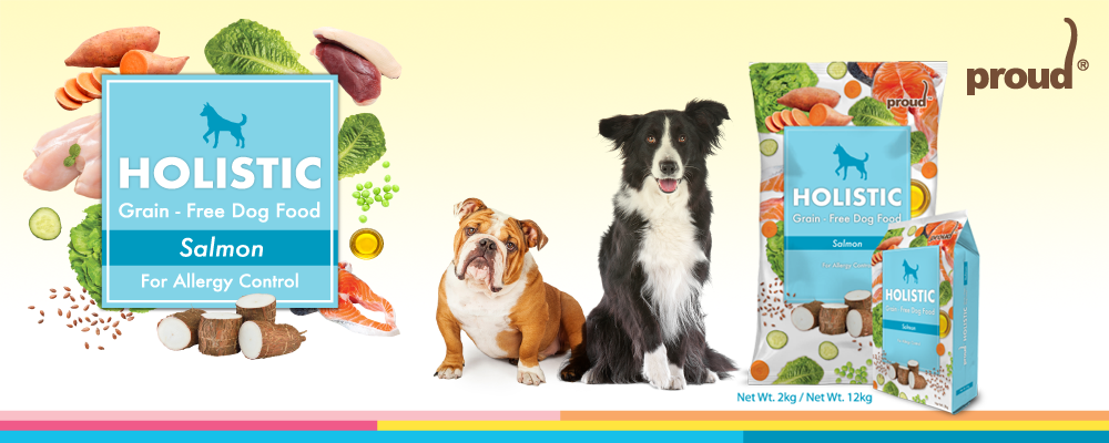 Holistic Grain - Free Dog Food Salmon